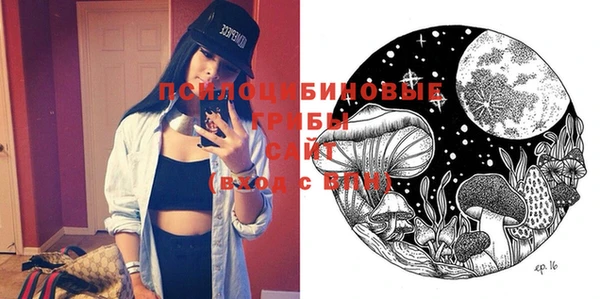 стафф Богородицк