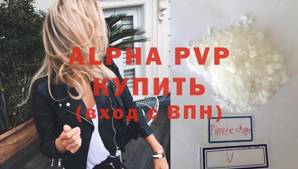 стафф Богородицк